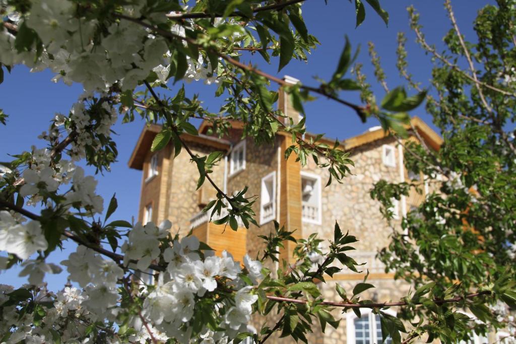 Le Palais Des Cerisiers Hotel Azrou Exterior foto